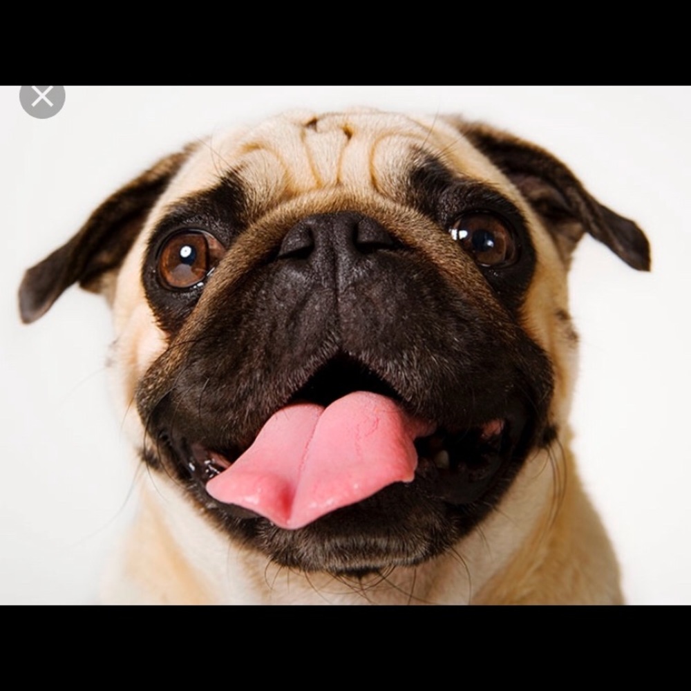 Meet your Posher, Nagarajan